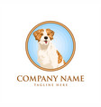 dog realistic design vector image
