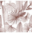 tropical exotic line brown palm leaves seamless vector image