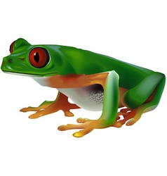 Tree Frog Royalty Free Vector Image - VectorStock