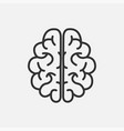 brain body part icon isolated flat design vector image vector image