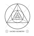 sacred geometry symmetric symbol vector image