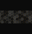 black hexagon ceramic tiles vector image