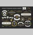 vintage typographic decorative ornament design vector image vector image