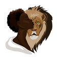 web vector image vector image