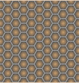 honeycomb seamless pattern vector image