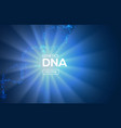 dna background biology molecule science vector image vector image