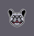french bulldog head mascot design vector image
