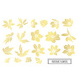 golden floral decoration vector image