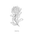 greenery design elements botanical logos vector image