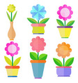 paper flower garden in a pot vector image