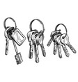 sketch hand drawn bunch of keys on white vector image