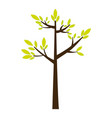 color silhouette with green tree growing vector image