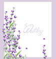 lavender summer frame watercolor card backgrounds vector image vector image