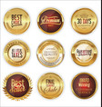 luxury retro badge and labels collection 3 vector image