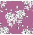 seamless pattern with peony vector image