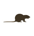 myocastor coypus - nutria - side view - flat vector image vector image