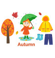 isolated autumn set with girl tree and clothes vector image
