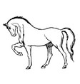 freehand sketch of horse vector image