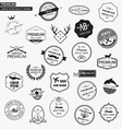 premium graphic elements vector image vector image
