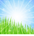 summer abstract background with grass vector image