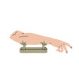 arm sculpture antique greek statue of gods hand vector image vector image