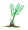 fresh bamboo plant on a white background vector image
