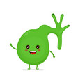 strong healthy happy gallbladder character vector image vector image