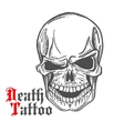 skull sketch with spooky smile vector image