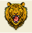 angry lion head vector image