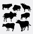 bison cow and bull animal silhouette vector image vector image
