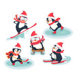 active penguins in winter concept vector image