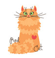 red-headed cat character of a red kitten vector image vector image