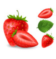 set of strawberry berries vector image
