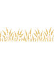 seamless hand drawn wheat ears stalks pattern vector image