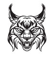 head mascot lynx isolated on white vector image