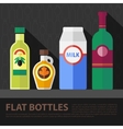 color flat bottle set vector image