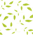 floral seamless pattern background green on white vector image