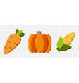pixel art icon art vegetables icon cute vector image vector image