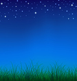 nature night vector image