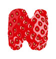strawberry font letter n alphabetical character vector image vector image