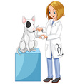 vet wrapping dogs leg vector image