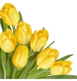 bouquet of yellow tulips eps 10 vector image