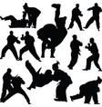 judo vector image vector image