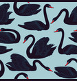 seamless hand painted black swans pattern vector image