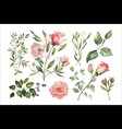 set of floral branch decorative flower elements vector image