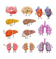 healthy and thick organs with faces and limbs vector image