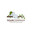 lazy koala sleeping on tree branches vector image