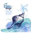 seashell background sea nautical design vector image vector image