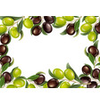 realistic olive frame on transparent background vector image vector image
