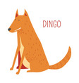 dingo dog cartoon australian animal vector image